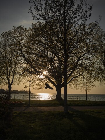 Karriere: Chancenland Vorarlberg | BAUR GmbH Karriere: Chancenland Vorarlberg | BAUR GmbH